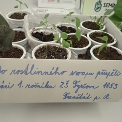 P1010006