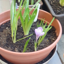 P1010051