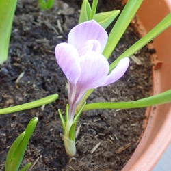 P1010053
