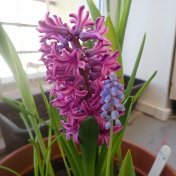 P1010056