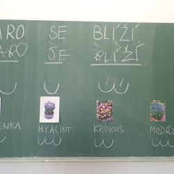 P1010060