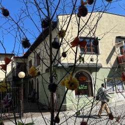 IMG-20250403-WA0015