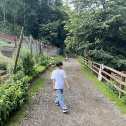 20250617_081008083_iOS