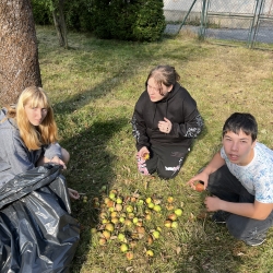 20250905_071907489_iOS