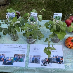 20251003_121305267_iOS