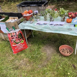 20251003_121505845_iOS