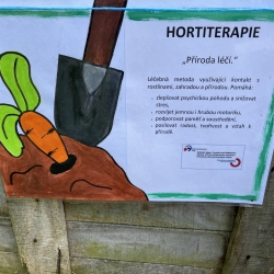 20251003_121636047_iOS