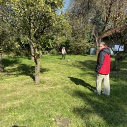 20251003_122344864_iOS