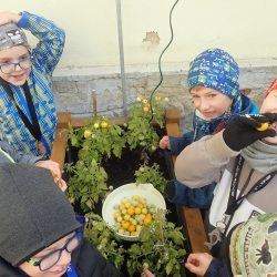 Poslední letošní sklizeň