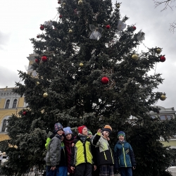 20251203_105832308_iOS