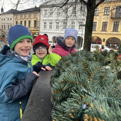 20251203_110313437_iOS