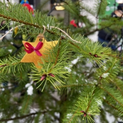 20251127_111413639_iOS