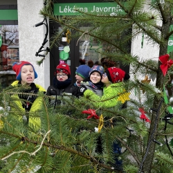 20251127_111428753_iOS