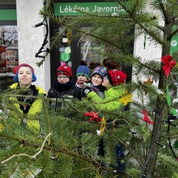 20251127_111429711_iOS