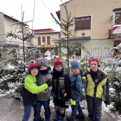 20251127_111531170_iOS