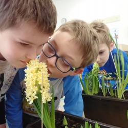 II. Nám už to tady kvete