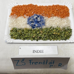 20260324_085820982_iOS