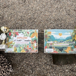 20260324_115912637_iOS